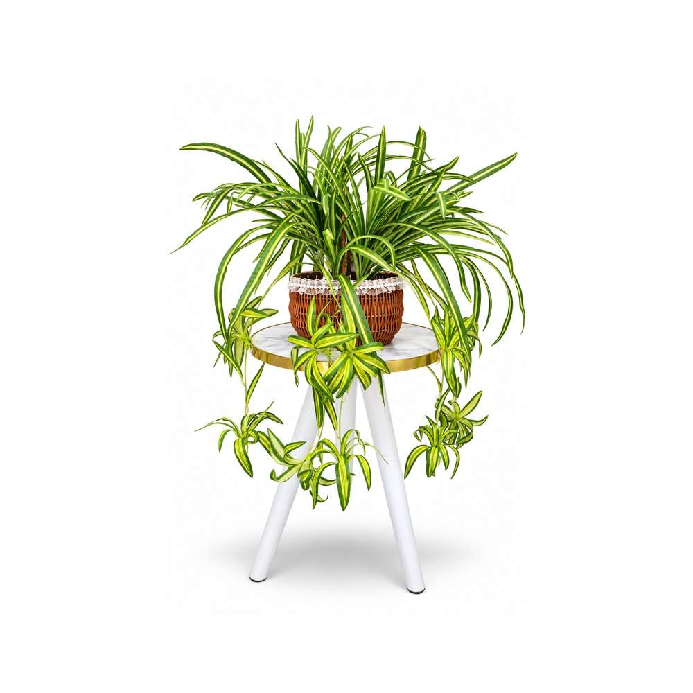 Spider Hanging Artificial Plant