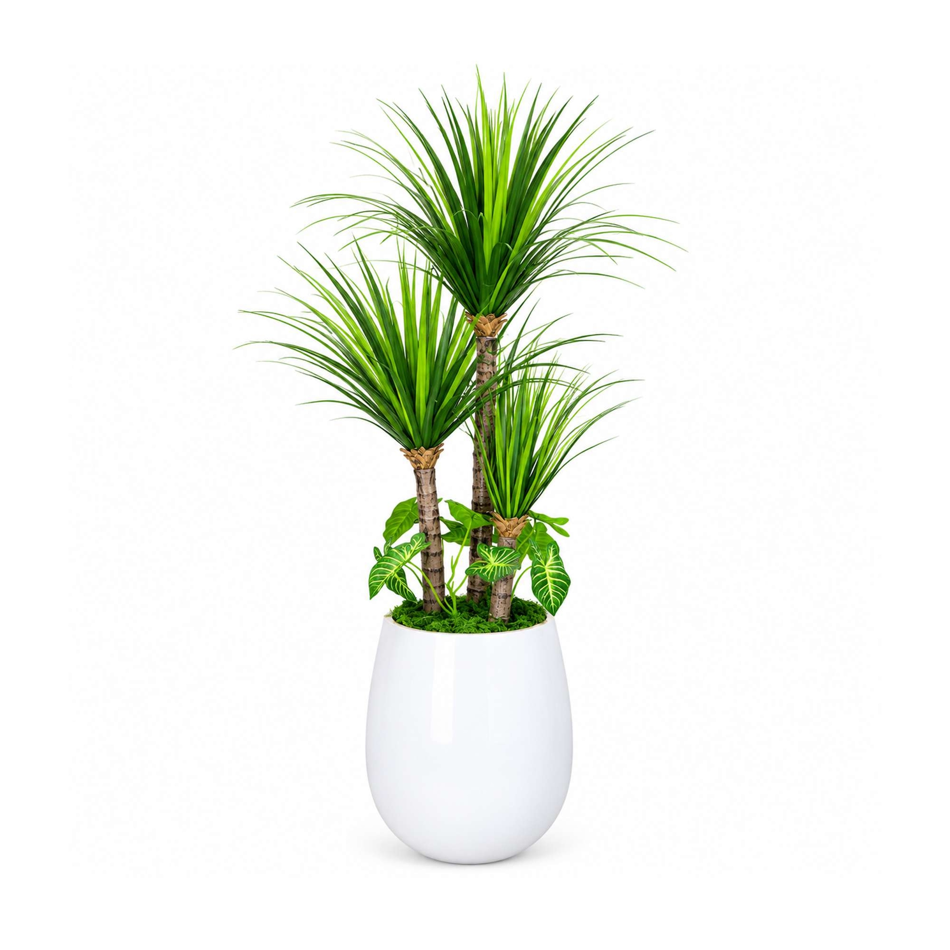 Arabian Artificial Palm Tree